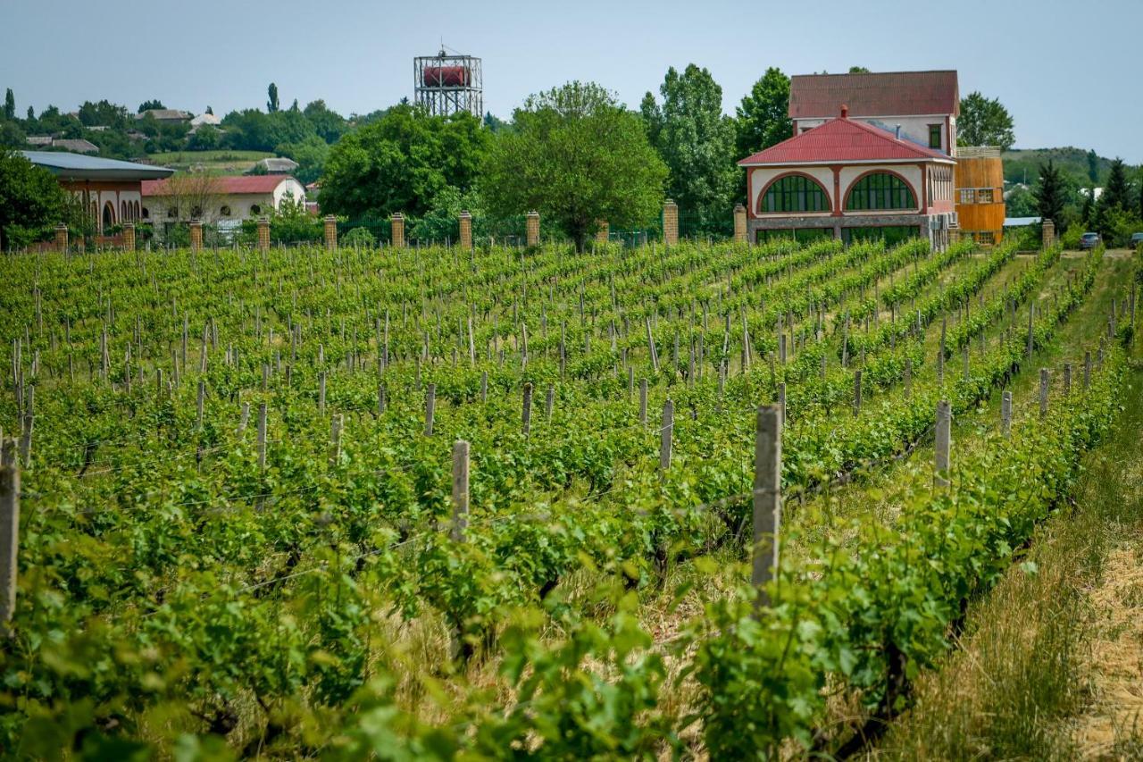 Chabiant Guesthouse Chateau Monolit Ikinci Yeniyol Exteriör bild